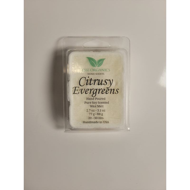 CITRUSY EVERGREENS SCENTED CANDLE