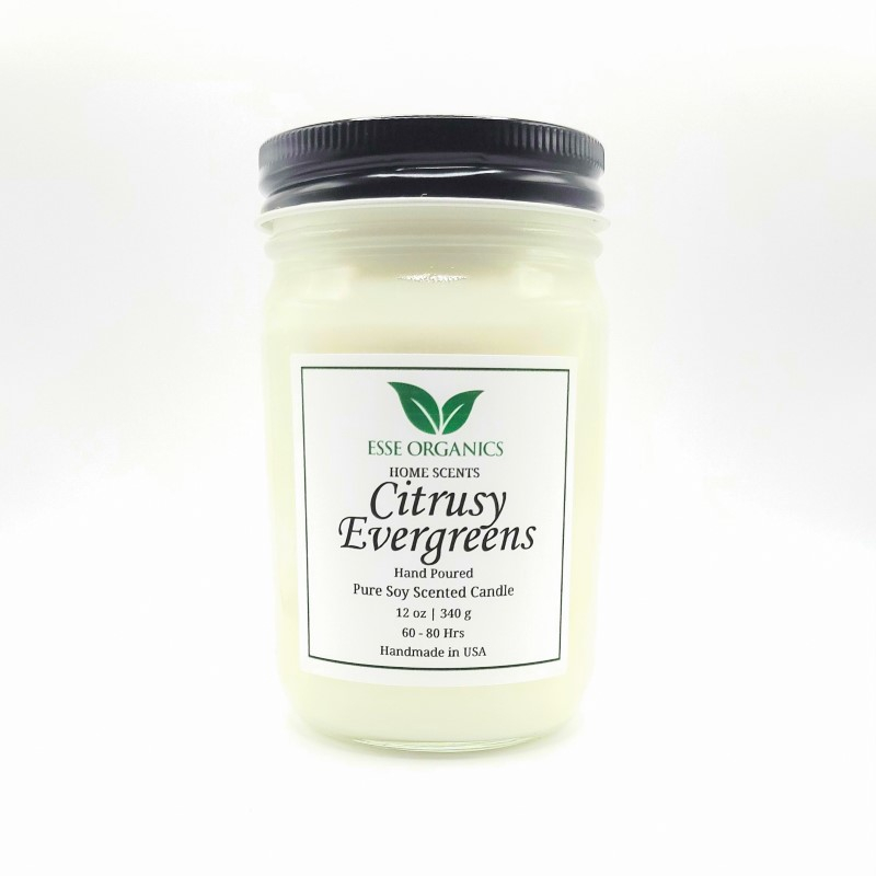 CITRUSY EVERGREENS SCENTED CANDLE